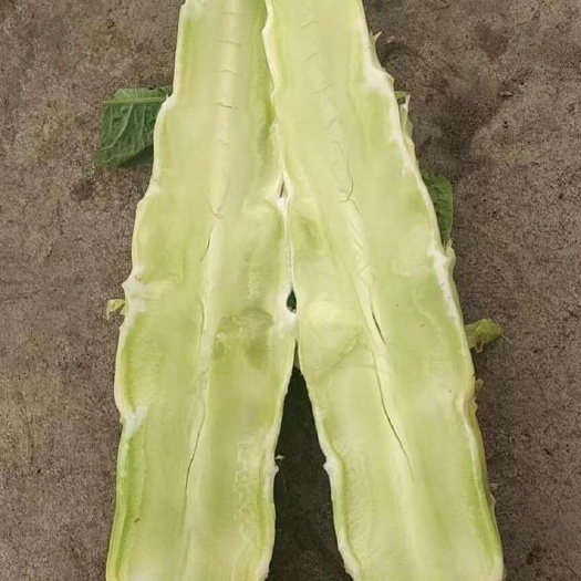 兰陵县莴笋