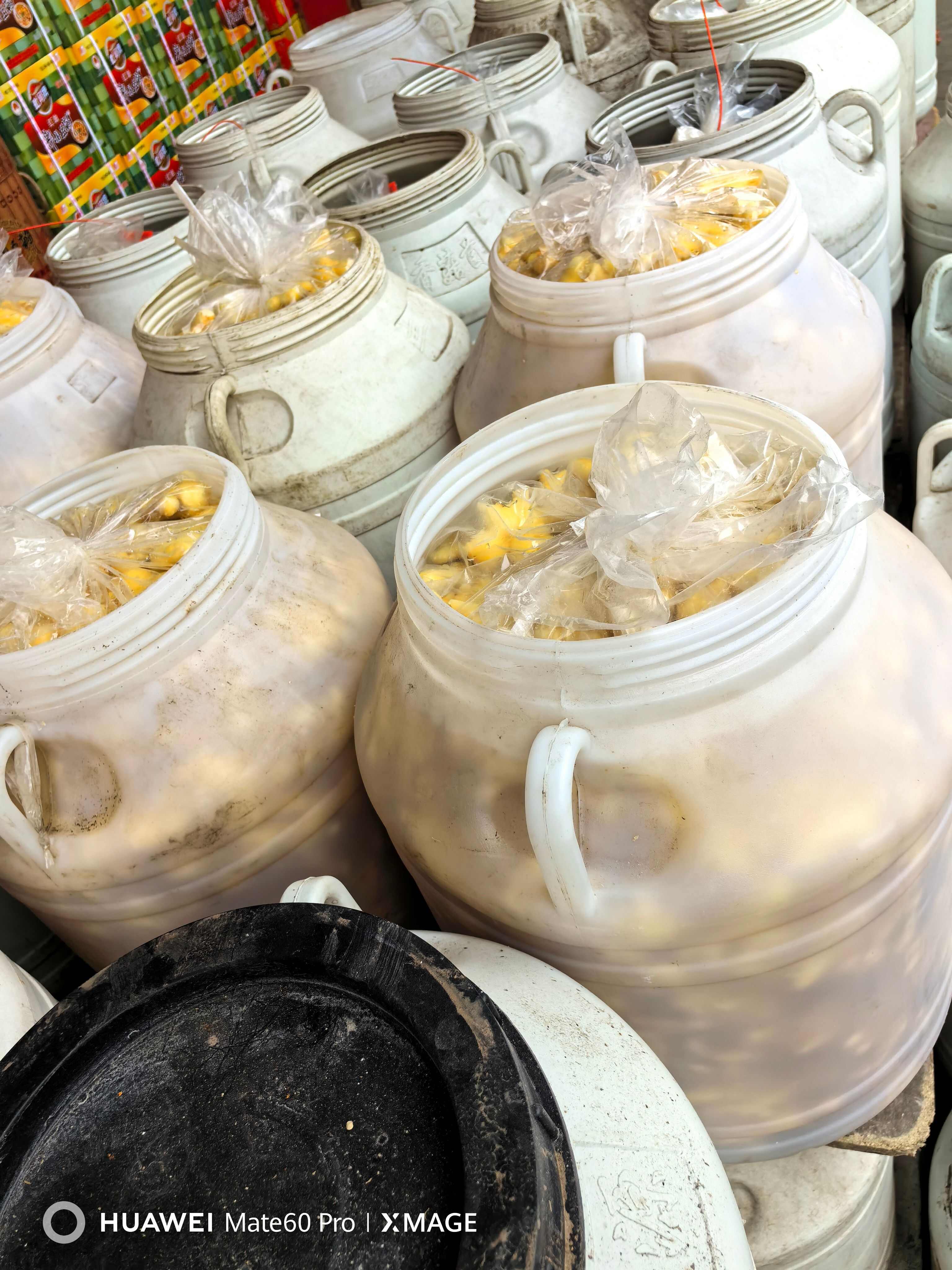 盐水泡菜 红米椒 小米辣二荆条 小姜，一手货源厂家直发