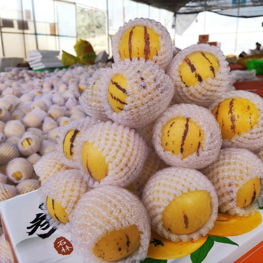 河口县云南树上熟人参果圆果当季应季水果
