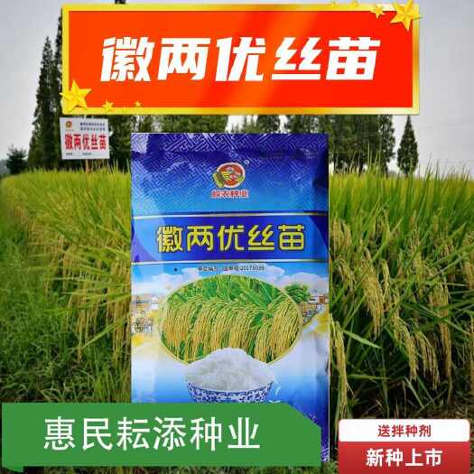 徽两优丝苗