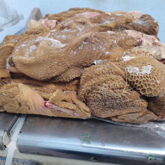 内蒙古纯干羊毛肚