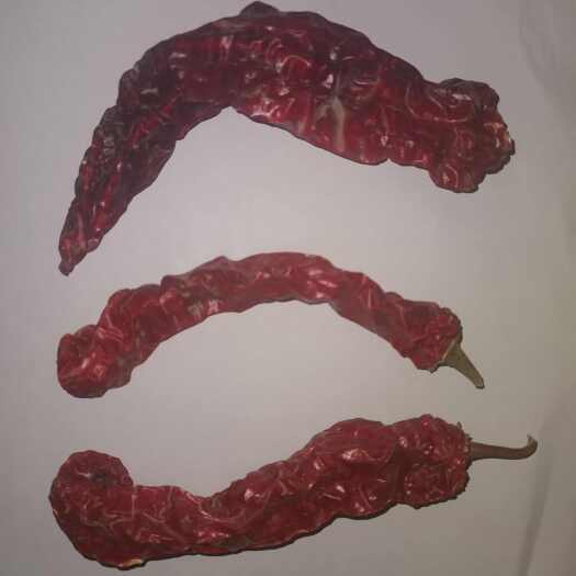 巴彦淖尔羊角辣