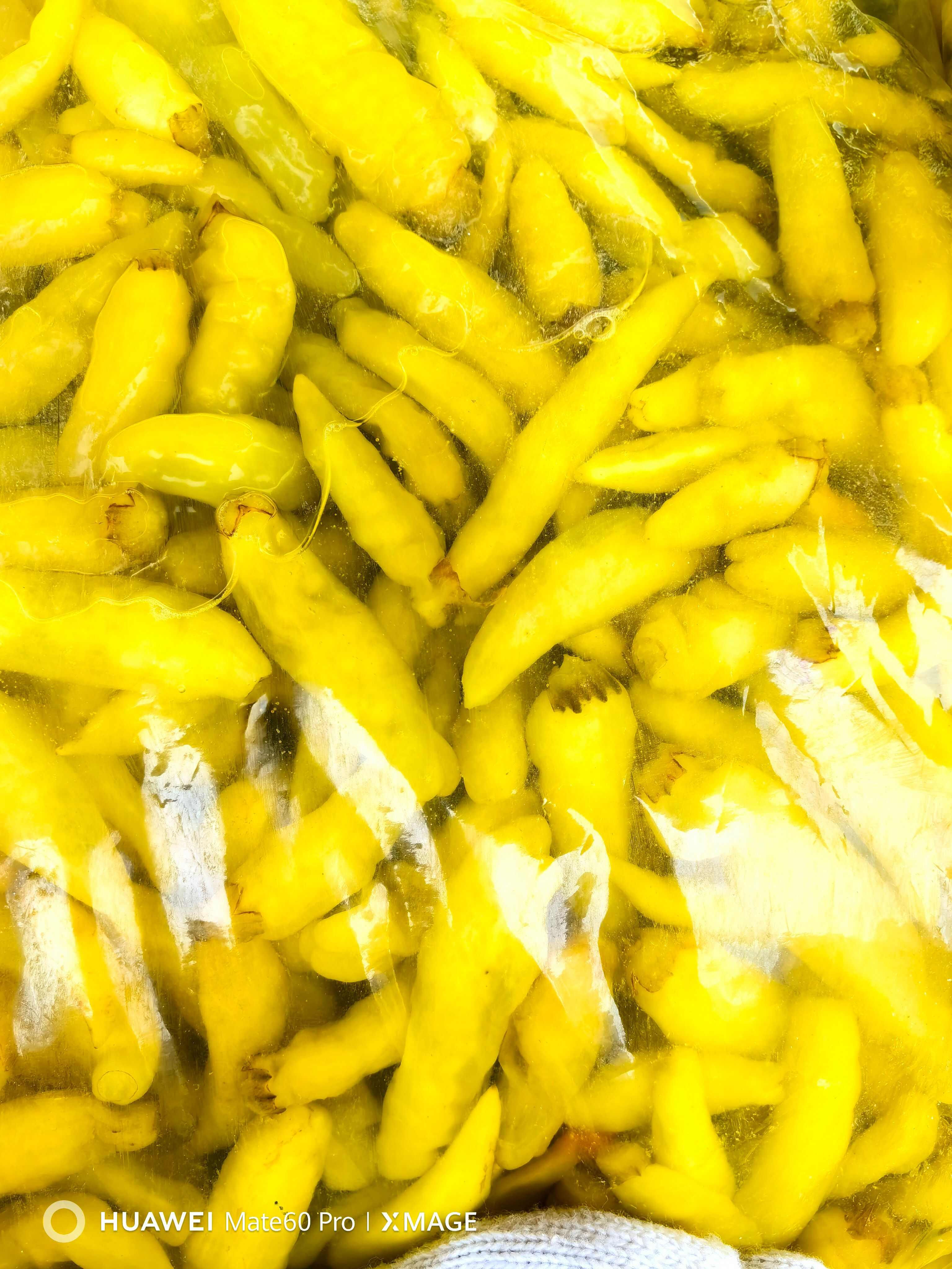 盐水泡菜 红米椒 小米辣二荆条 小姜，一手货源厂家直发