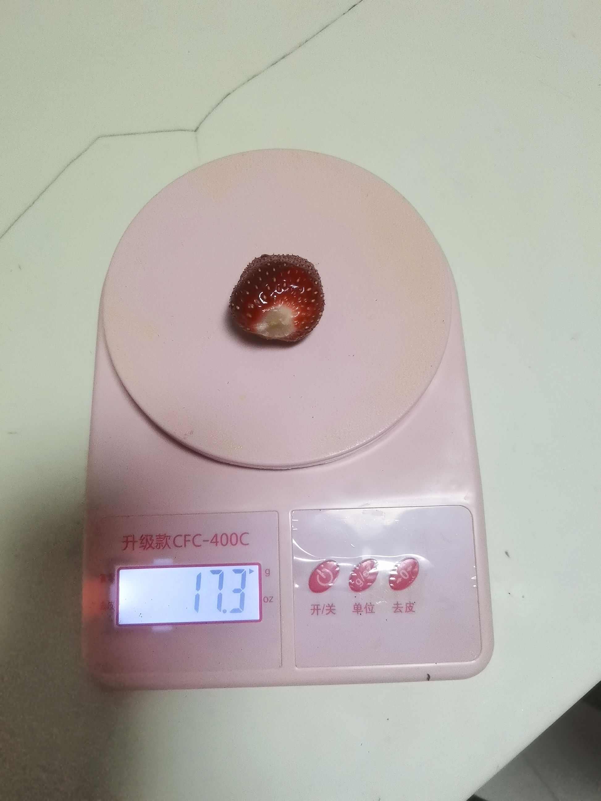 脱毒草莓苗，个头大