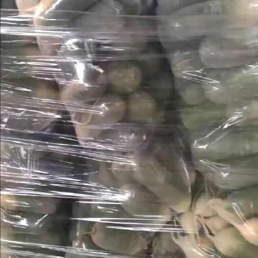 曹县水果青萝卜