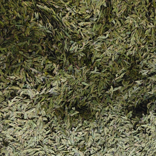 贞丰县贵州贞丰绿茶