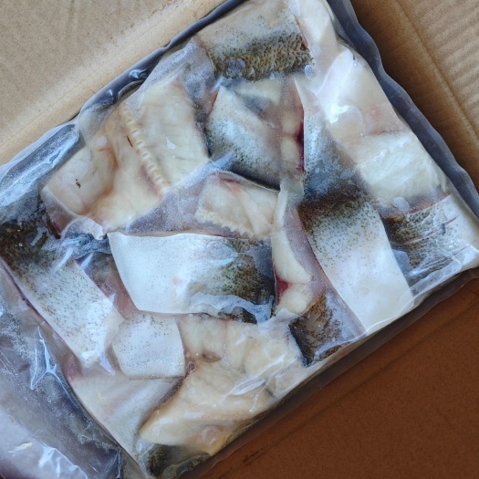 佛山白鲢鱼