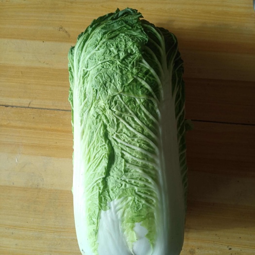 北京三号菜产地直发，货源充足，发货快，散装，打包，一条龙服务