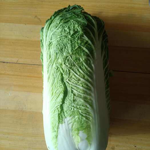 玉田县北京三号菜产地直发，货源充足，发货快，散装，打包，一条龙服务