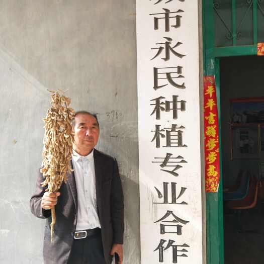永城市大豆種子新品種產(chǎn)量高穩(wěn)產(chǎn)