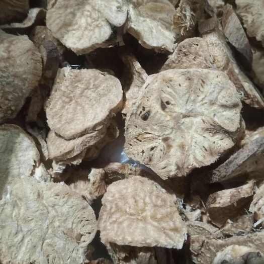 富蕴县阿魏根纯药用