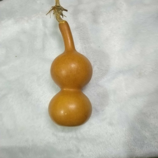自然葫芦,十二年老货净高11.5公分带龙头19公分,厚皮色红