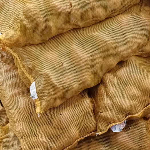陆丰市养殖红薯