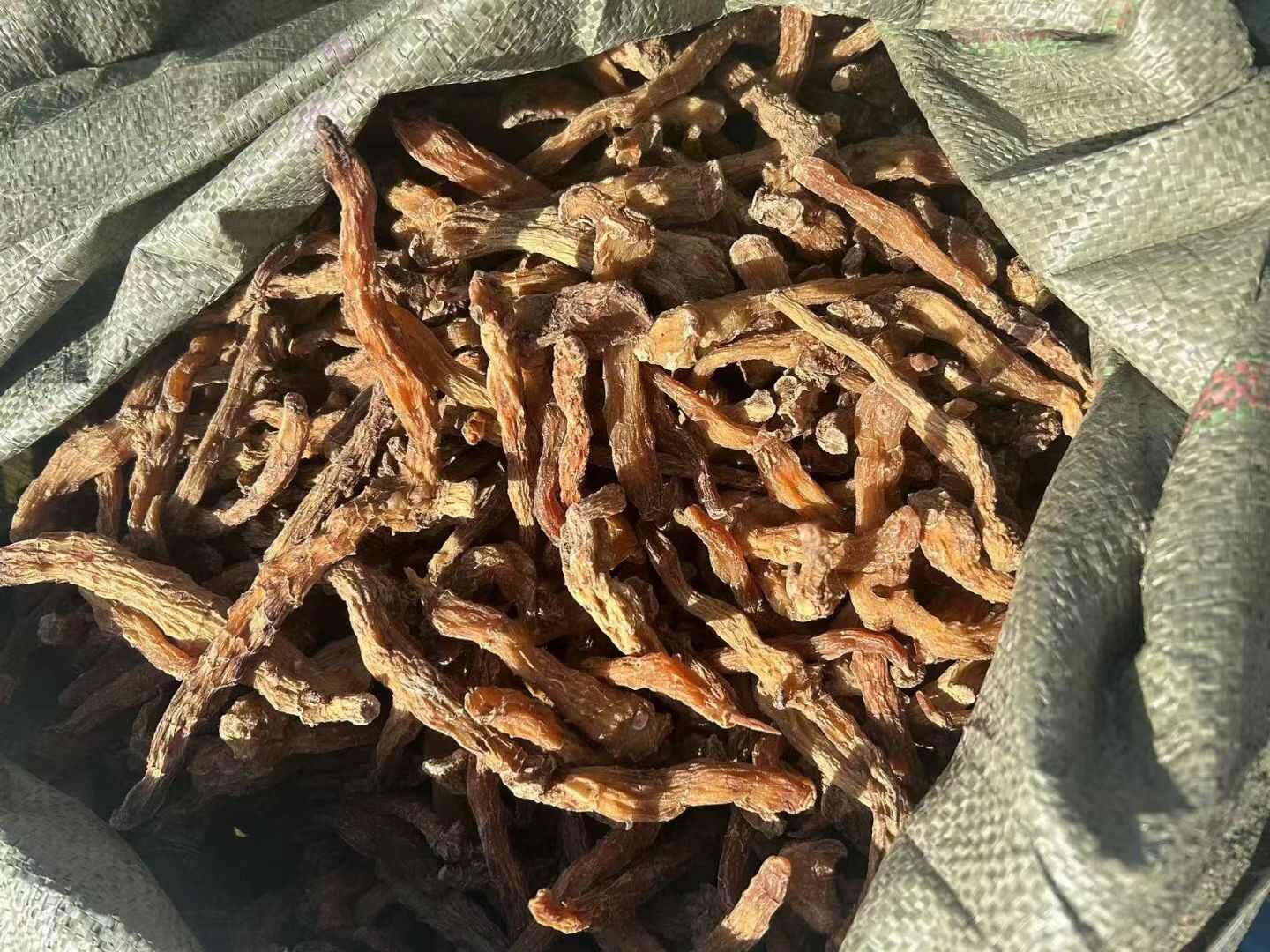 黄精