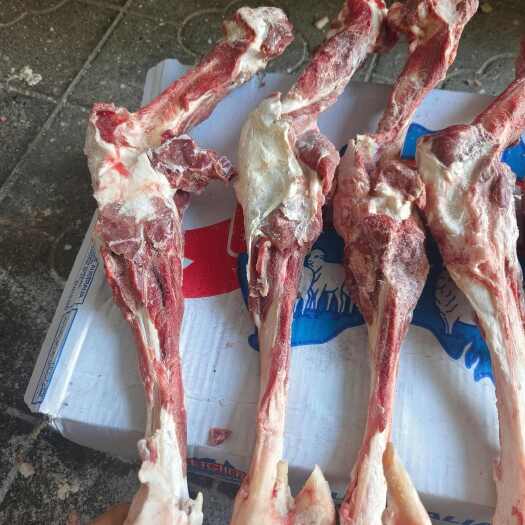 河间市2309/217大羊双节后腿骨