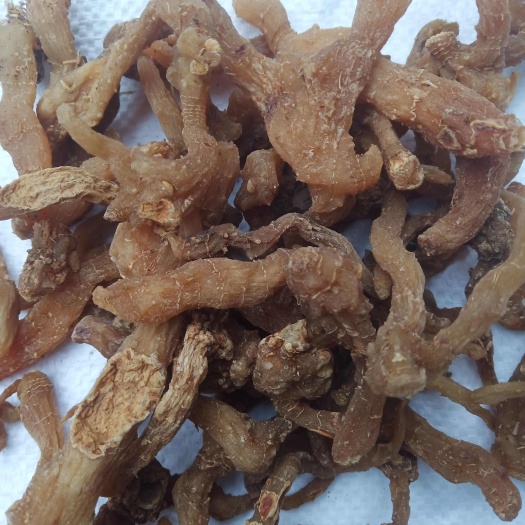 三门峡河南地产鸡头黄精，大货颜色如图