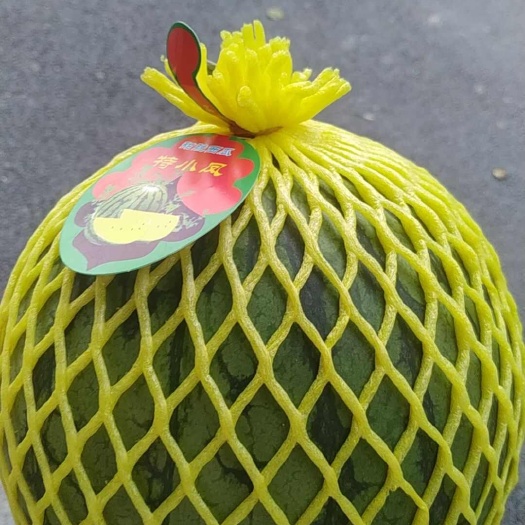 惠州精品特小凤，5斤保底