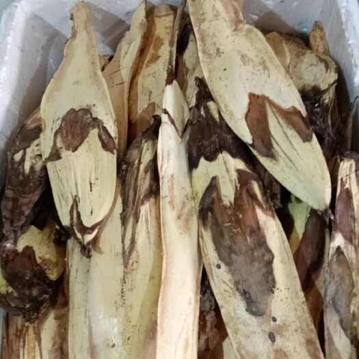 长沙棕包