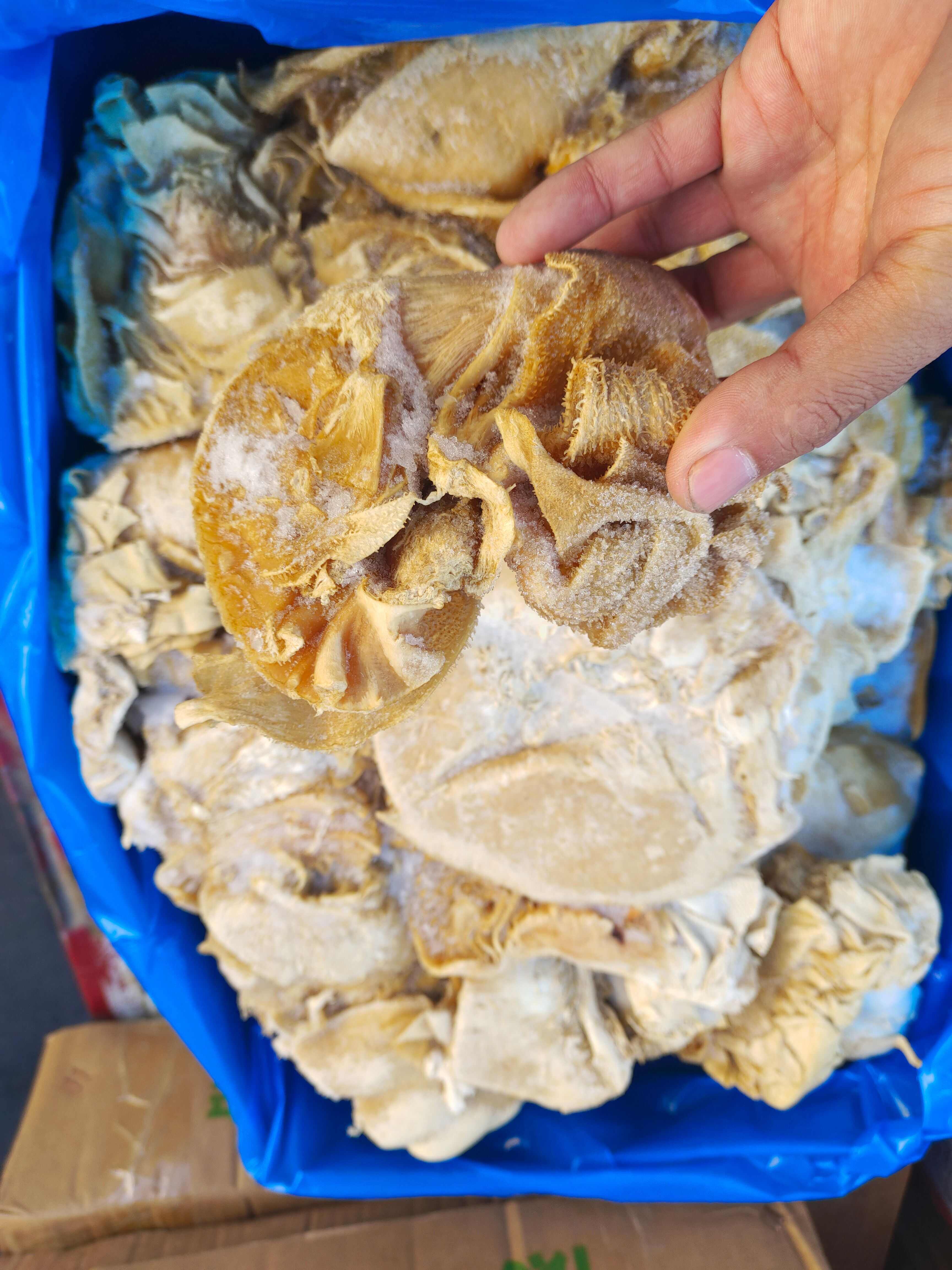 碎牛百叶，块大货干，价格便宜，出成率高，做水发千层性价比高