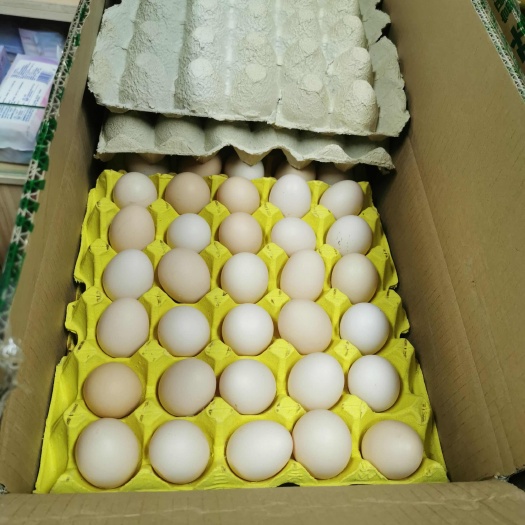 辉县市黑凤鸡蛋