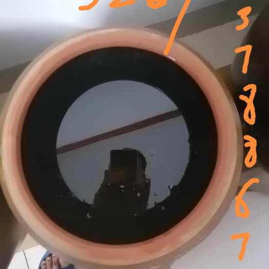 上林县山茶油