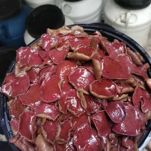 红乳牛肝菌，加工厂菜市场餐饮酒店欢迎