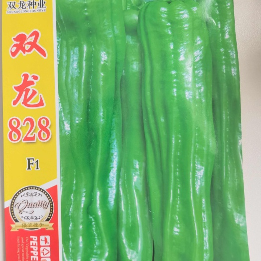 夏邑县双龙828薄皮辣椒种子，芜湖椒，翠绿色皮薄肉脆，皱多，易坐果
