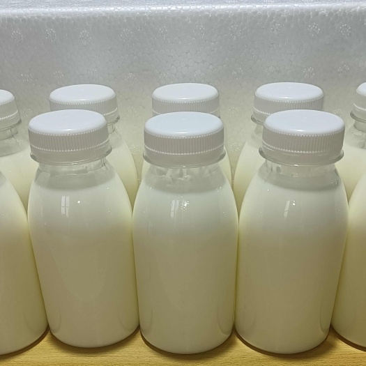 生羊乳牧场直发新鲜纯羊奶