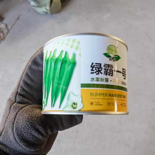 水果秋葵绿霸一号