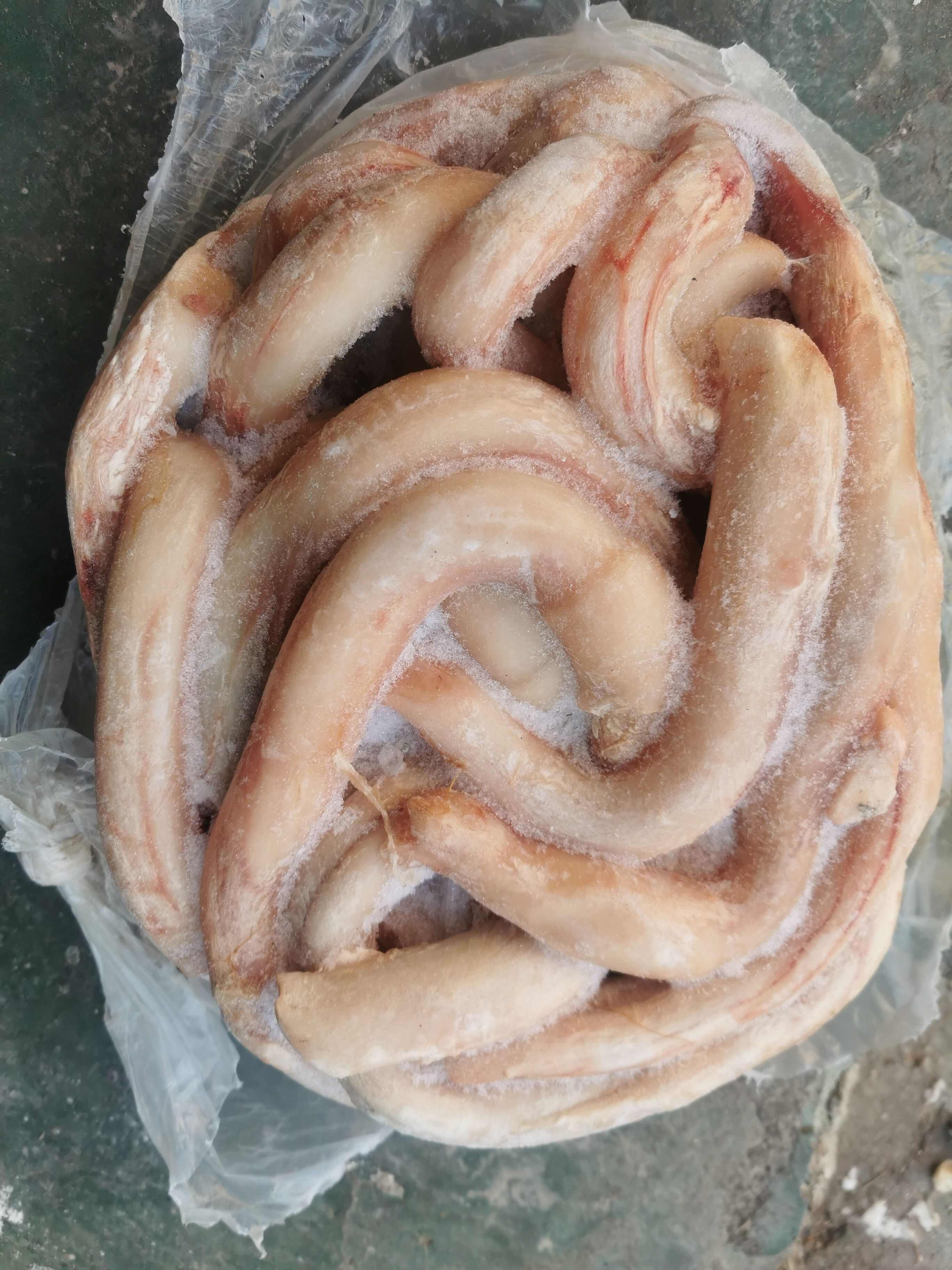 阳信县新鲜牛宝精修牛鞭 特产食材源自可靠肉源 土特产批发零售