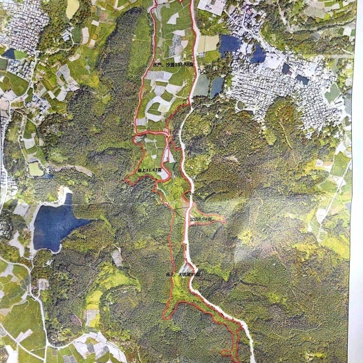 鹤山市鹤山宅梧300亩水田出租