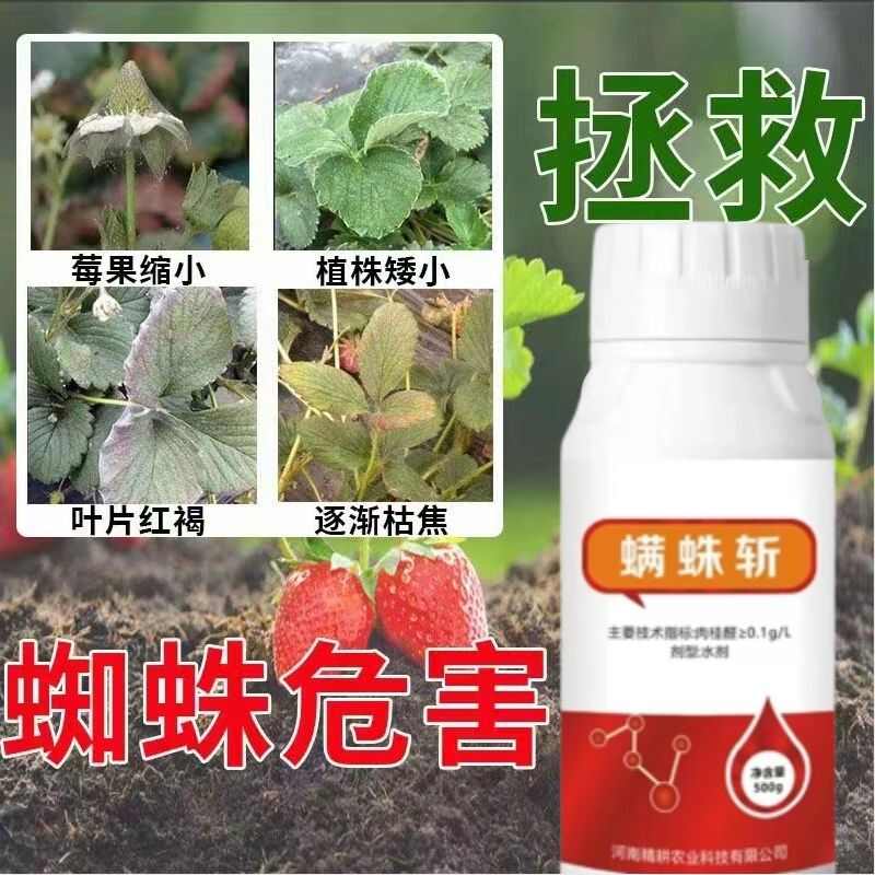 抗性红蜘蛛成螨螨卵锈壁虱草莓红蜘蛛专用药月季柑橘红蜘蛛螨包邮