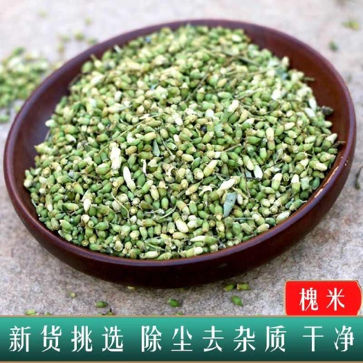 槐米中药材 新货  未开放花蕾  生槐米  批发零售