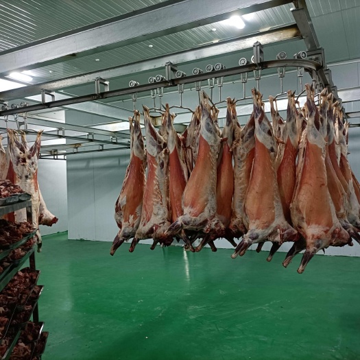 志丹县志丹县山地羊肉