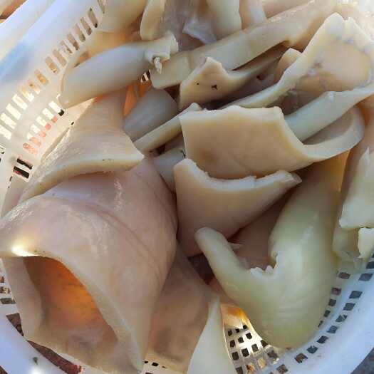 无极县去毛牛皮块，是厚的牛皮块可切丁，切条