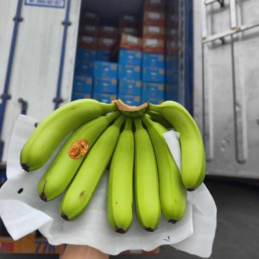 河口县越南精品香蕉净重9kg 不受寒全金黄 越南产地直发可转口贸易