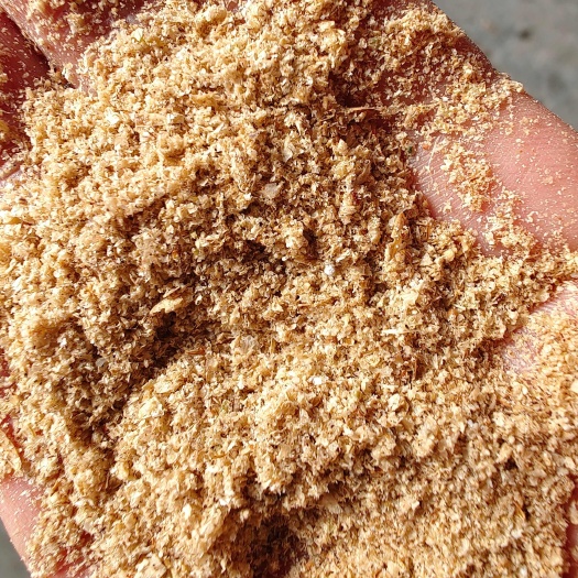 食用菌锯沫