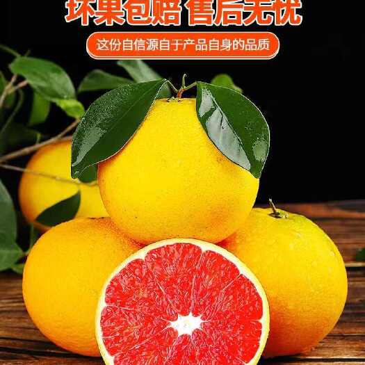 中华红血橙橙子.现採现发一手货源.个头均匀 果面干净