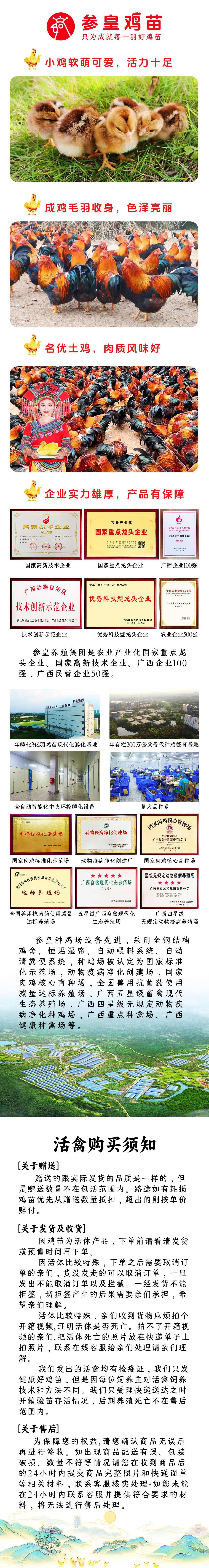参皇清远麻公苗