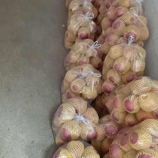 三原县自己家的果园，冷库存贮