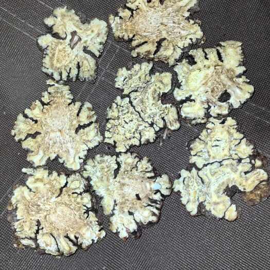 成都精品手工川芎 各类中药材只做精品 欢迎各种合作