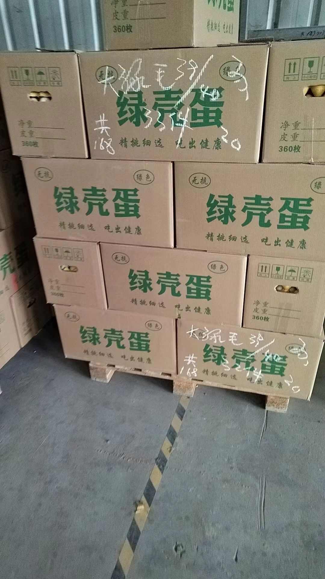 武汉发货本厂大量双色大绿360个净重36斤质量好