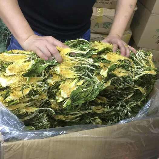 广州霸王花长期大量批发