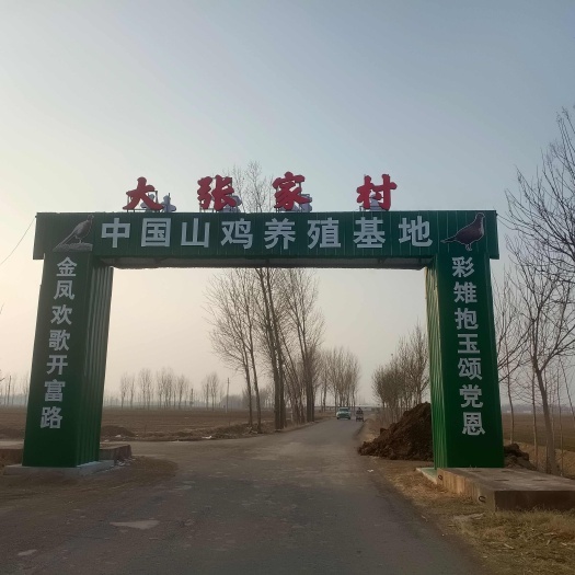 商河县山鸡蛋