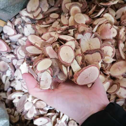 玉林广西千斤拔干货500克g中药材一条根钉地根钻地风千金拨