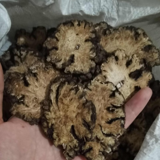成都川芎 手工选片