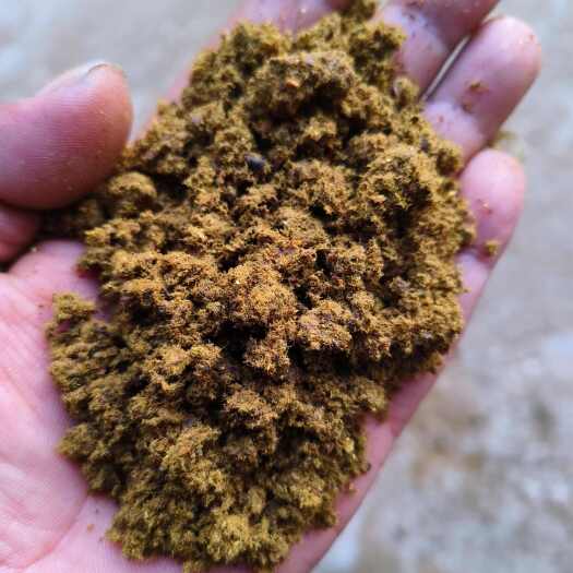 石家庄全脂膨化棉籽