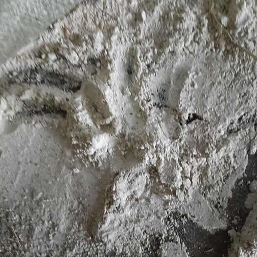范县抛光粉