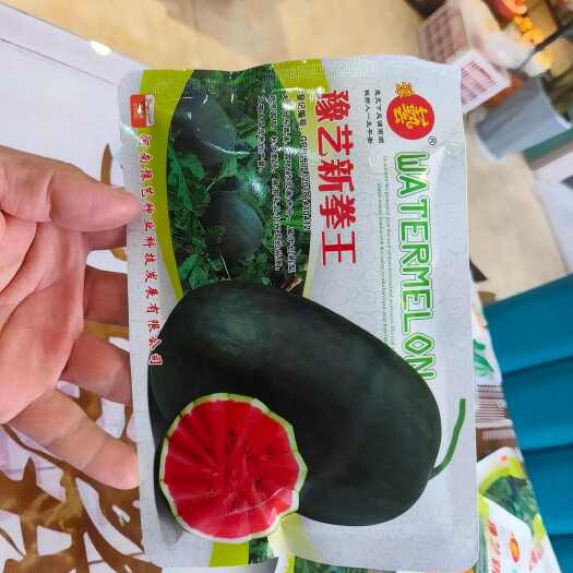 扶沟县豫艺新拳王西瓜种子大果少籽不厚皮不棱大红肉每棵结3个西瓜口感