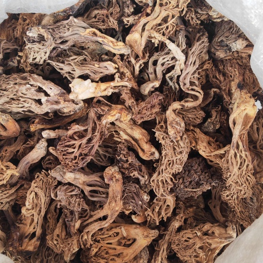 扫把菌，又叫刷巴菌，野生菌类的一种，口感好味道鲜，无霉无杂
